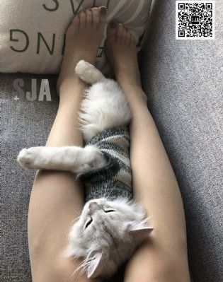 亚洲天天综合_1080动漫在线观看