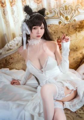 无码区a∨视频_4K在线观看完整版